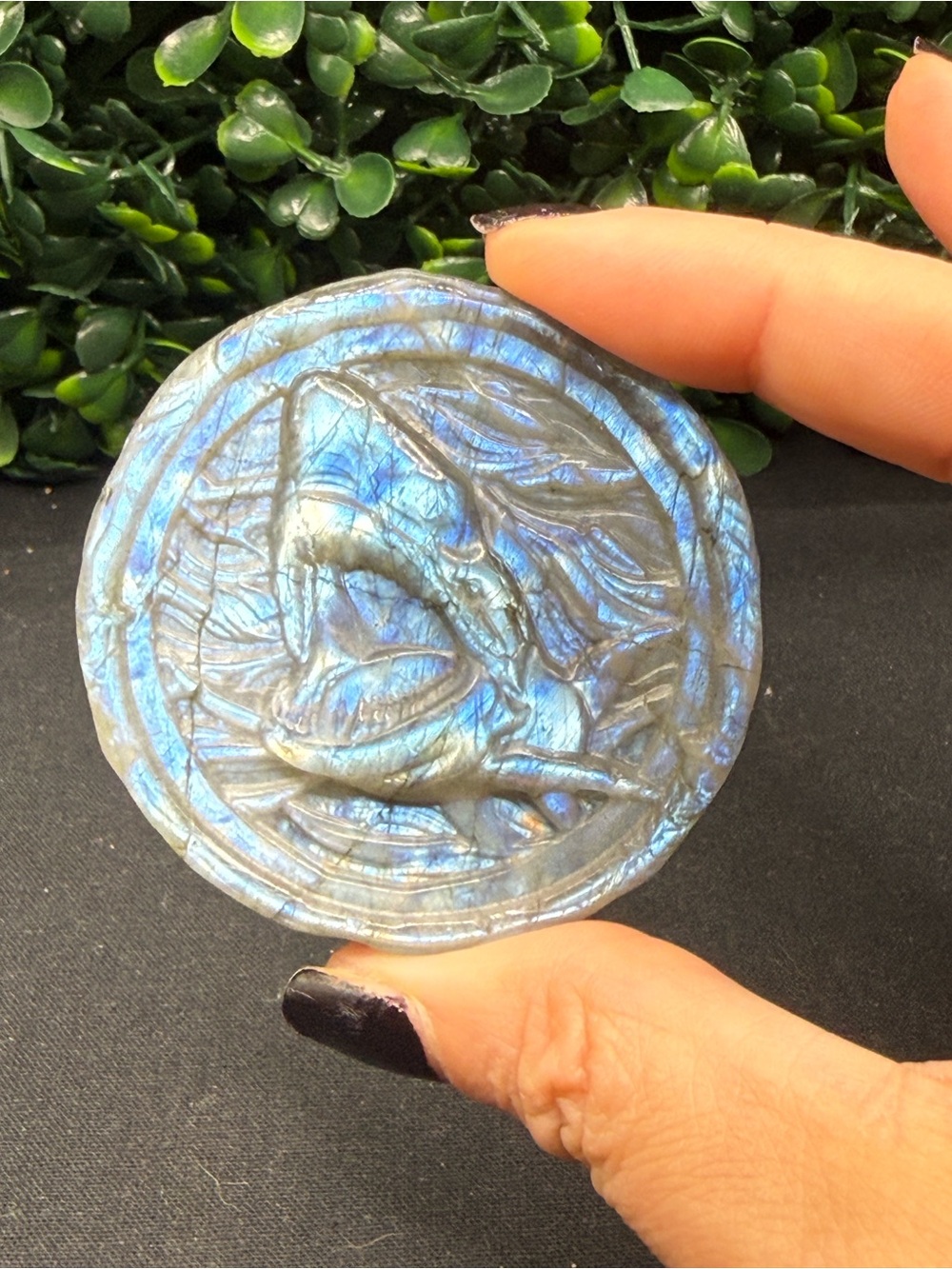 Blue Flash Labradorite Shark Medallion